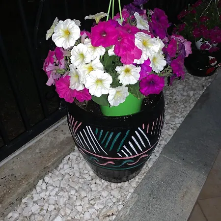 Apartahotel Markos 2 Potos